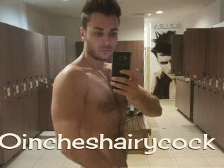 10incheshairycock