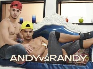 ANDYvsRANDY