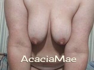 AcaciaMae