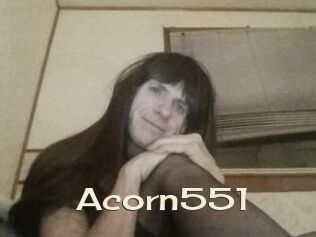 Acorn551