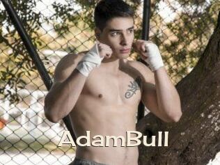 AdamBull