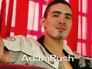 AdamBush