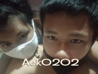 Aek0202