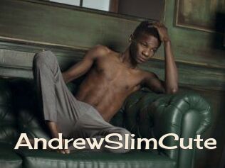 AndrewSlimCute