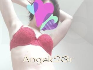 Angek23r