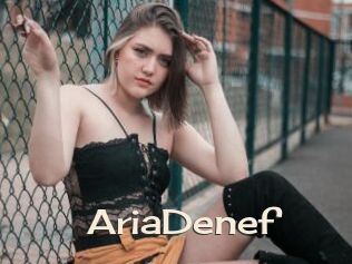 AriaDenef