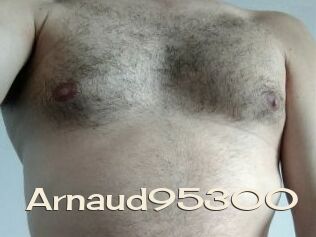 Arnaud95300