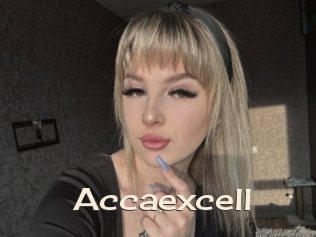 Accaexcell