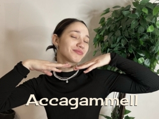 Accagammell