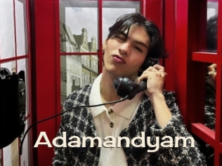 Adamandyam