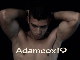 Adamcox19