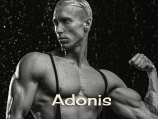 Adonis