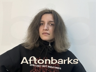 Aftonbarks