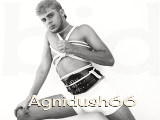 Agnidush66