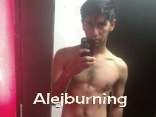 Alejburning