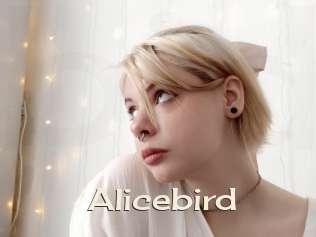 Alicebird