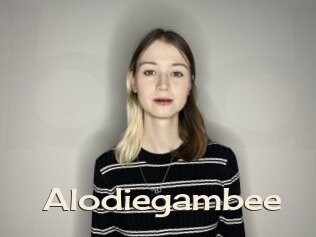 Alodiegambee