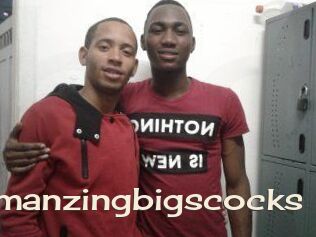 Amanzingbigscocks