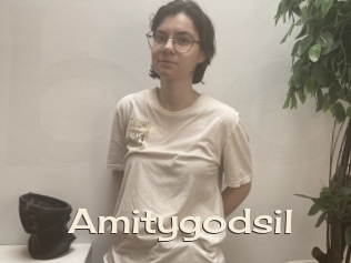 Amitygodsil