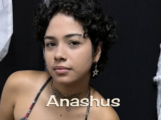 Anashus