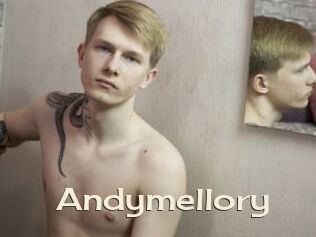 Andymellory