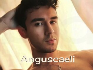 Anguscaeli