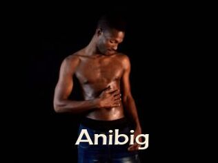 Anibig