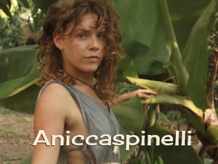 Aniccaspinelli