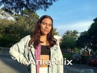 Aniefelix