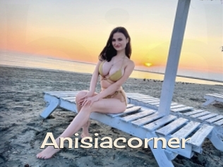 Anisiacorner