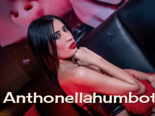 Anthonellahumbot