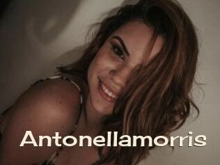 Antonellamorris