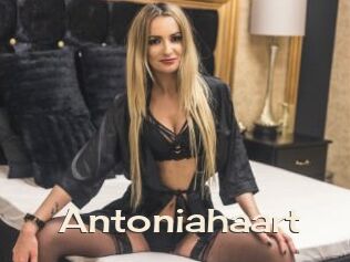 Antoniahaart