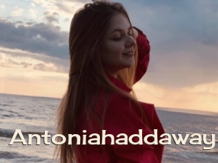 Antoniahaddaway