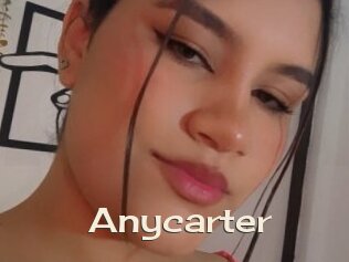 Anycarter