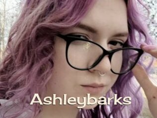 Ashleybarks