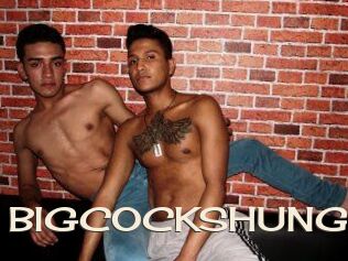 BIG_COCKS_HUNG