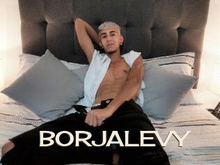 BORJALEVY
