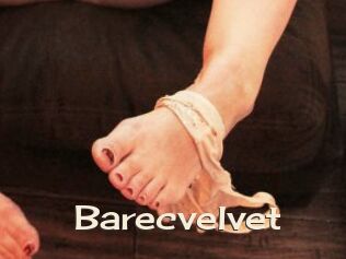 Barecvelvet