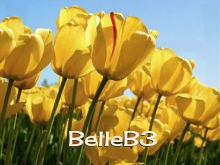 BelleB3