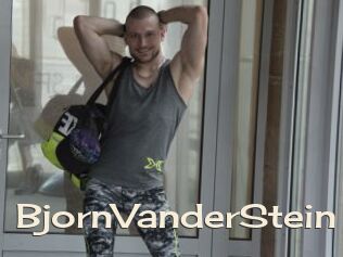 BjornVanderStein