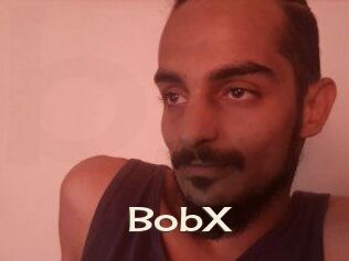 BobX