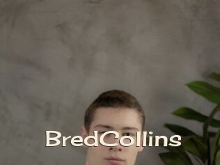 BredCollins