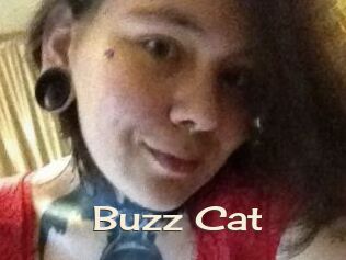 Buzz_Cat