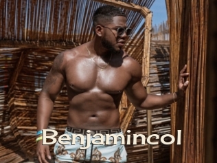 benjamincol Big Dicks Round Ass