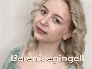 Berenicegingell