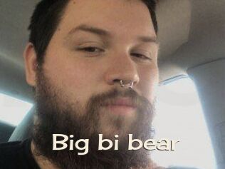 Big_bi_bear