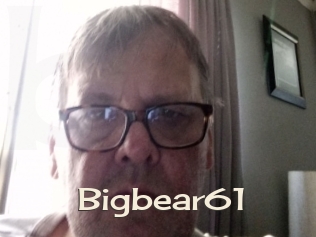 Bigbear61