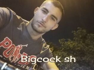 Bigcock_sh