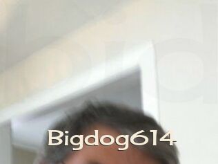 Bigdog614